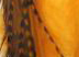 Amber Gold