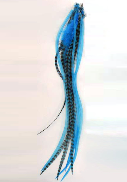 Feather Hair Extensions