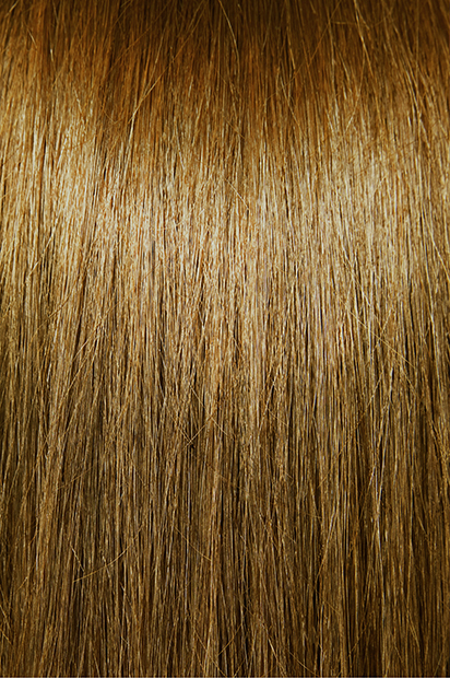#6 Light Chestnut Brown